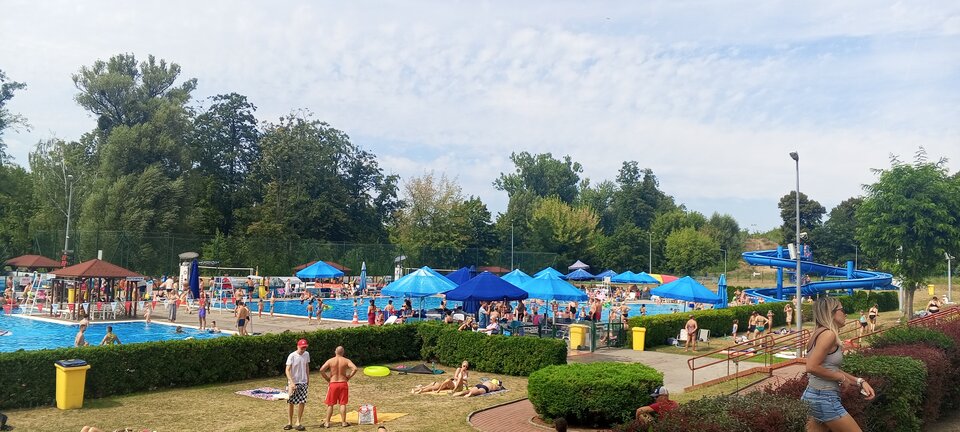 IMG_20240815_121106_017.jpg - Bzyki2424