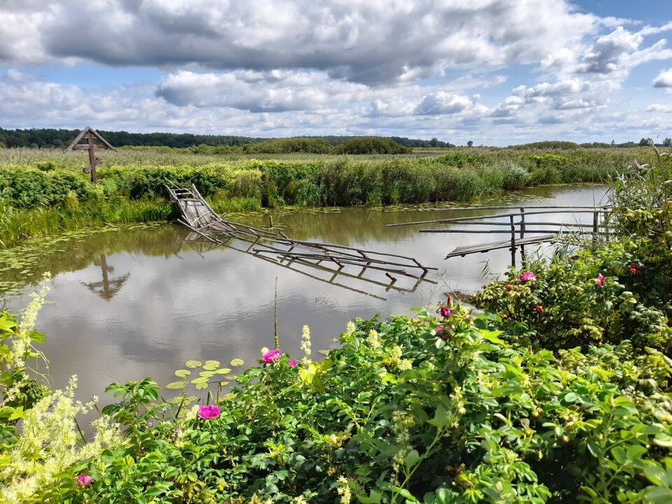 20240730_113547.jpg - Czarodzieje_alfa