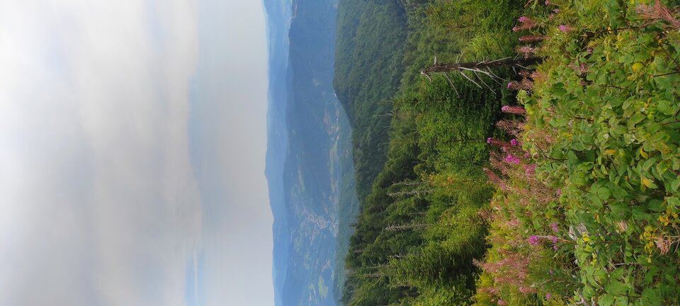 IMG_20240815_091406.jpg - NicponieFest