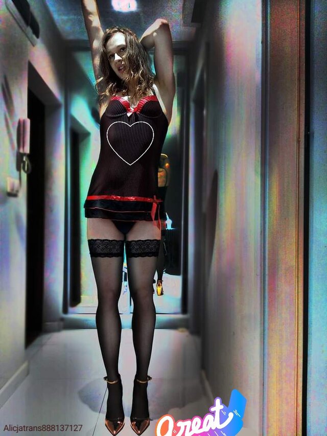 Alicjatrans888137127