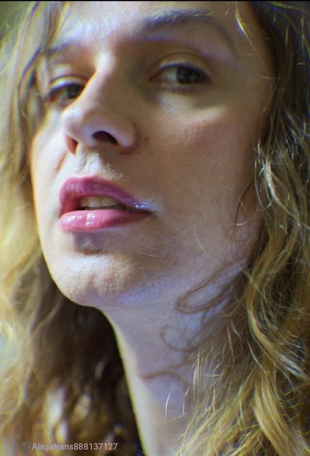 Alicjatrans888137127