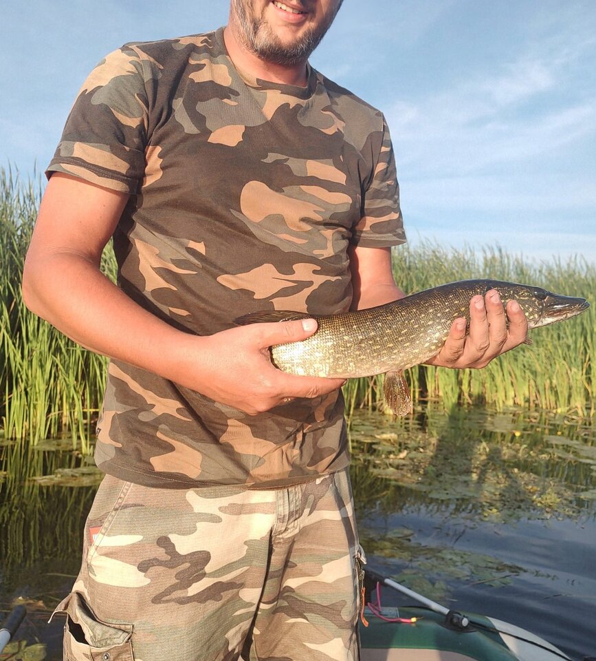 Szczupły - Pitulinscy