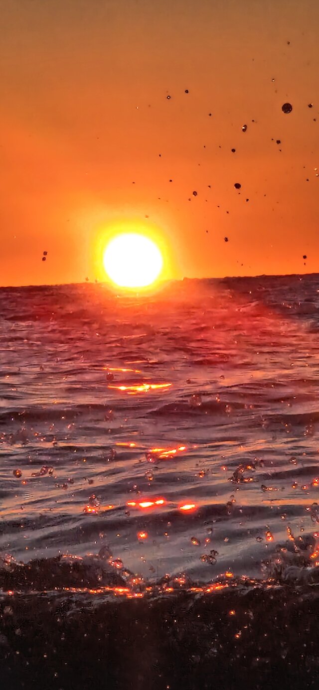Marro85