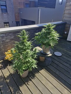 Tegoroczne dzieciaczki