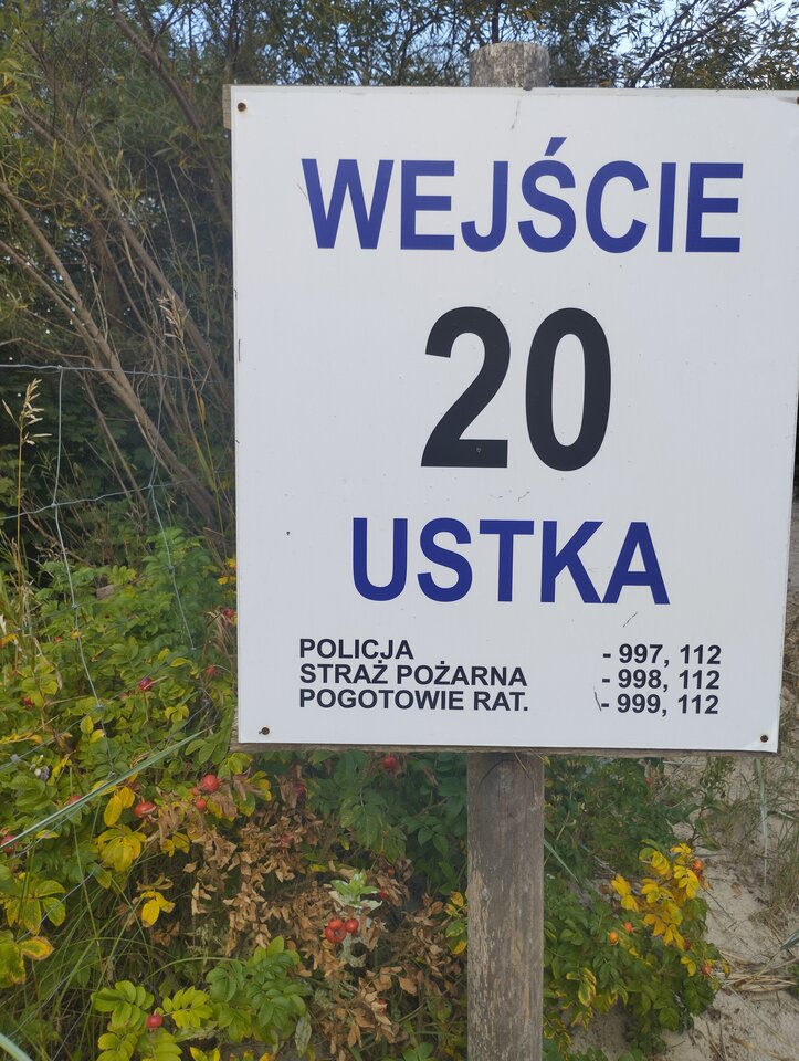 IMG_20240816_170201.jpg - Pareczka80m