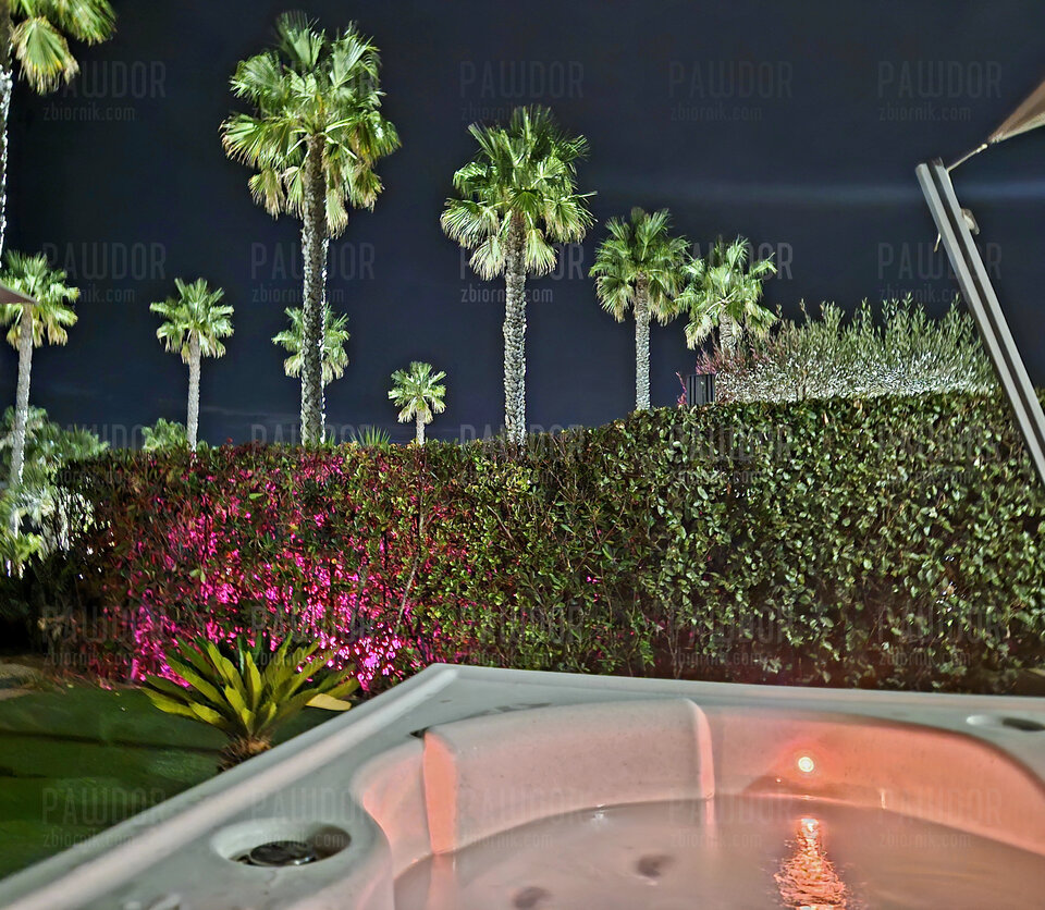 1000063432.jpg - pawdor