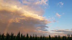 Co w Trawie PISZCZY  ? >