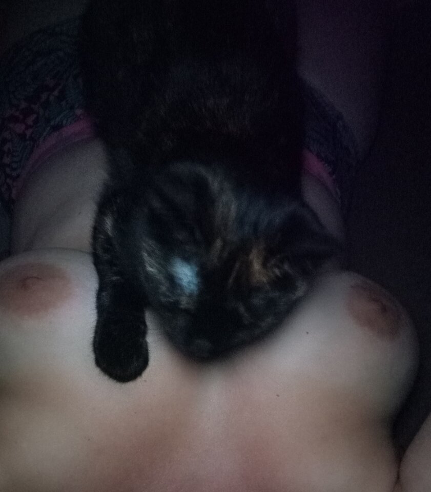 IMG_20240817_010141.jpg - Teresina