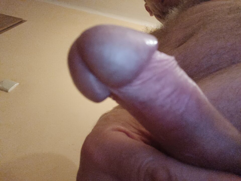 17238650507376144646991939432060.jpg - ardas1