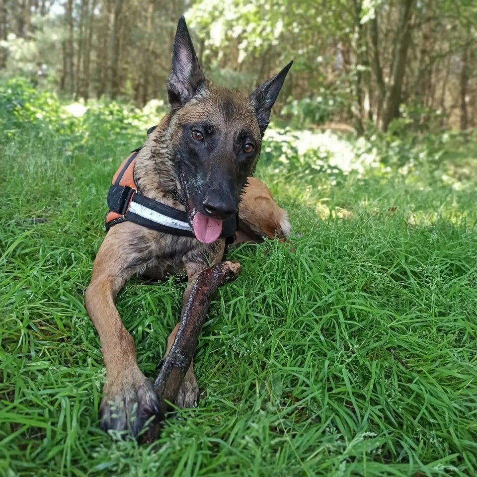 1000001579.jpg - SZARYLUDZIK84