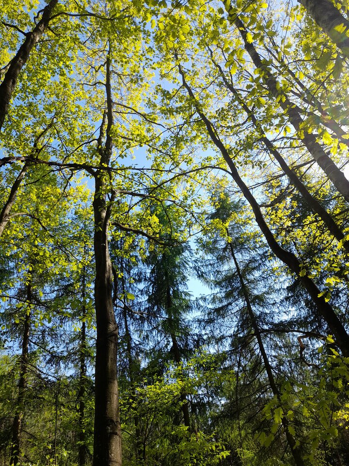 20230511_155443 (1).jpg - Robert2T