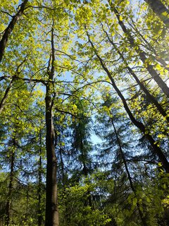 20230511_155443 (1).jpg