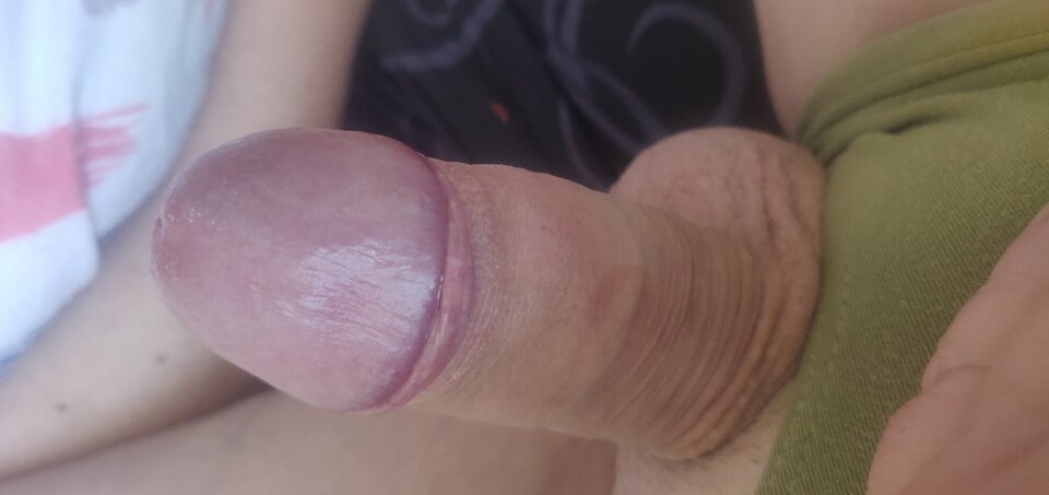 IMG_20240817_113256.jpg - fajnykutasek25