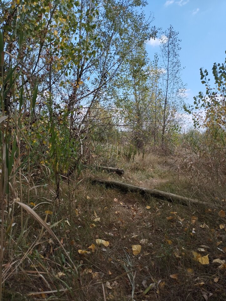 1000010620.jpg - 19Grzegorz55
