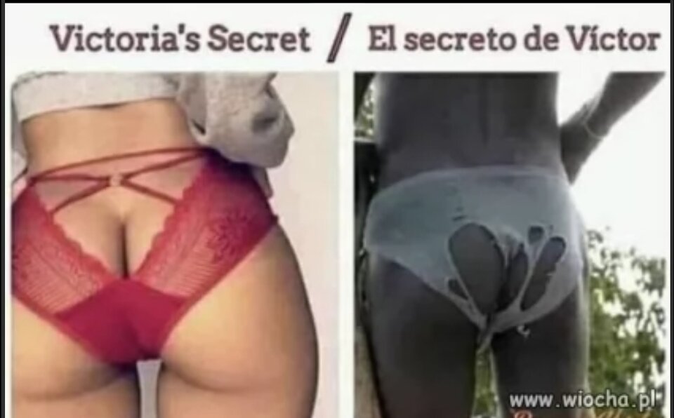 Tzw. Damskie gacie🤣.jpg - Tygryyysek