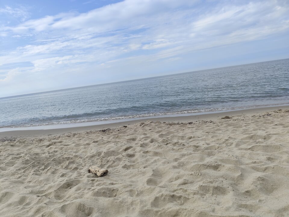 1000005820.jpg - Mario226