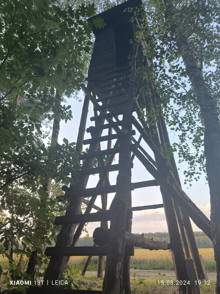 1000025695.jpg - Poomacku77