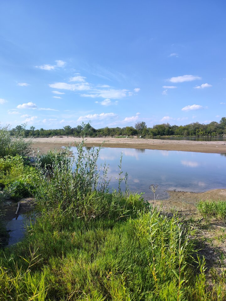 2024-08-1716.22.012136975412220034126.jpg - tom6970