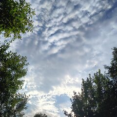 Działka , kocyk i chill 😎😂