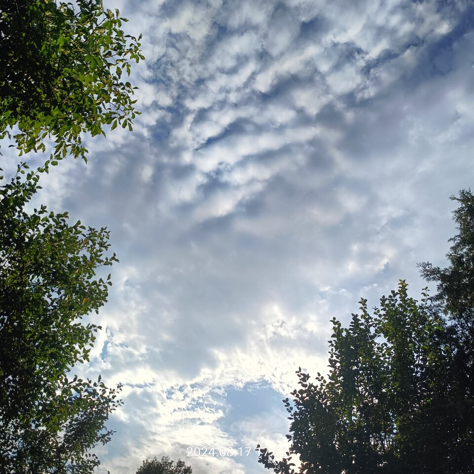 Działka , kocyk i chill 😎😂 - mlodywwa1