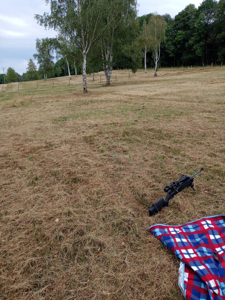 17239113883183439291289674883906.jpg - AdamJG