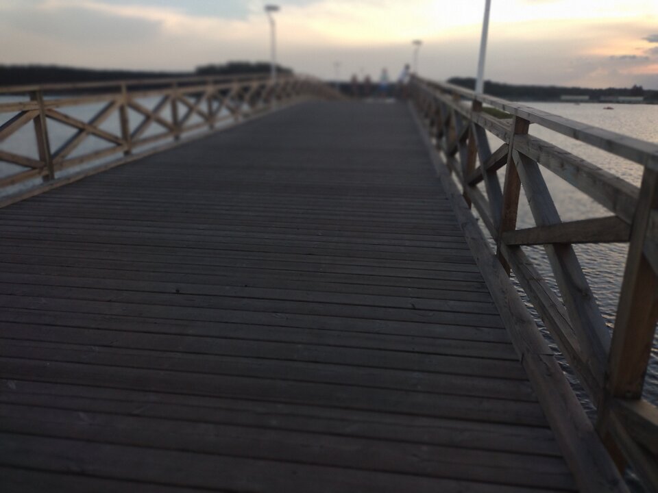 IMG_20240817_185401159_PORTRAIT.jpg - Bestia_i_Piekna_