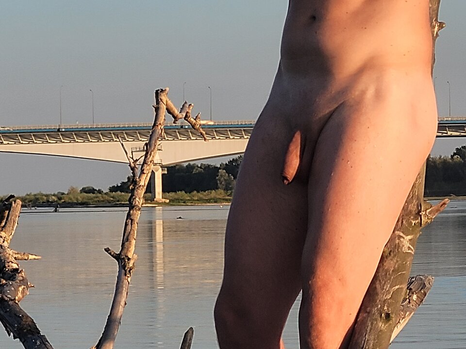 20240816_190451.jpg - pawsexan