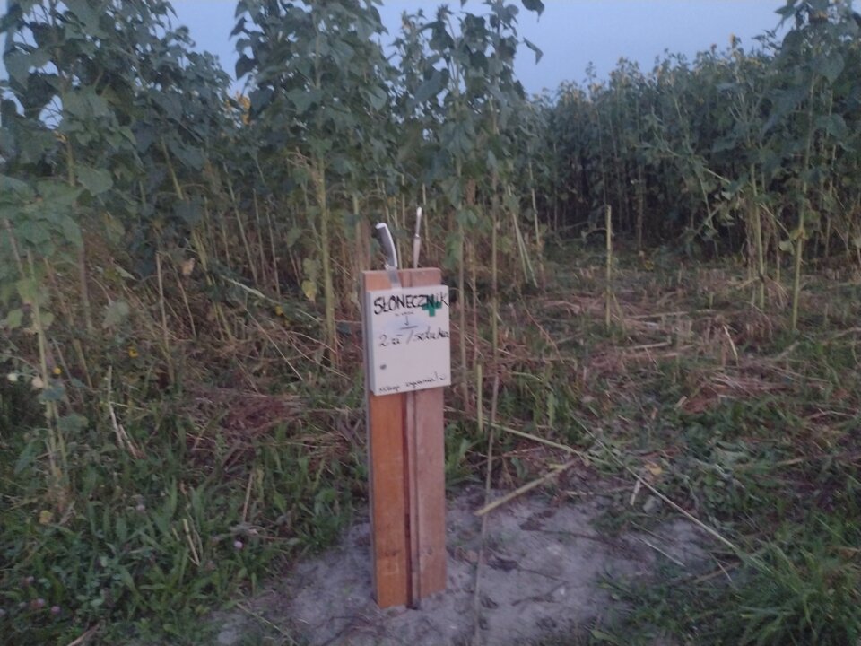 IMG_20240817_202014606.jpg - Bestia_i_Piekna_