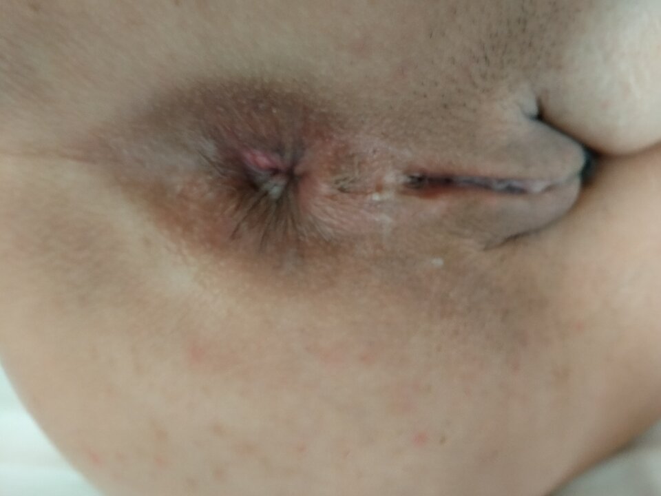 IMG20240816055955.jpg - Maciola