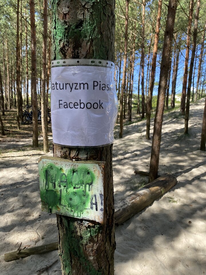 0CF2C174-1BDE-4C4A-BB8C-42491947E1E5.jpeg - oni7240