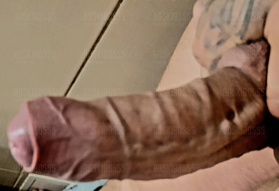 20240817_153321.jpg - Boskibosss