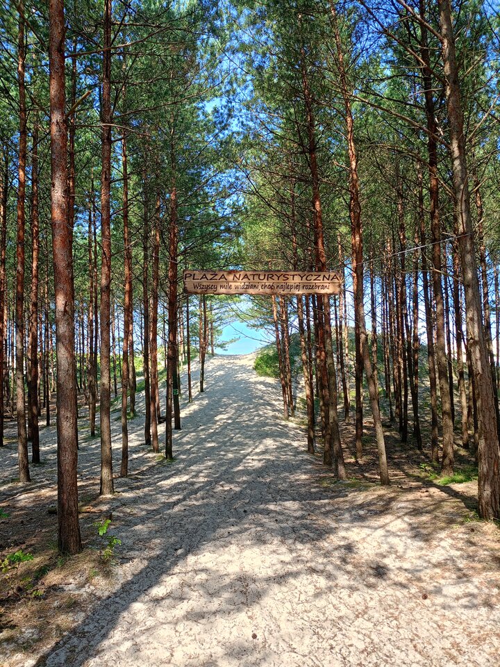 1000001984.jpg - agarad30