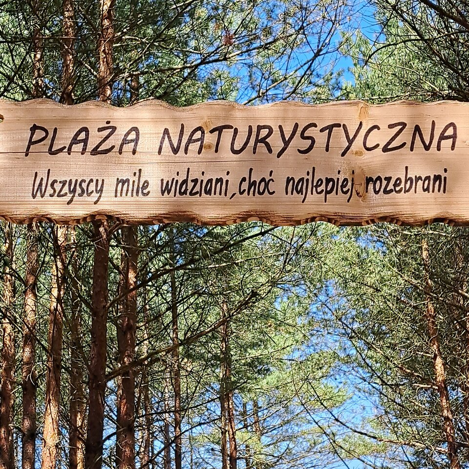 1000008098.jpg - oni7240