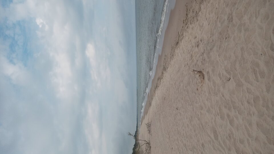 20240818_093303.jpg - Mrowka72