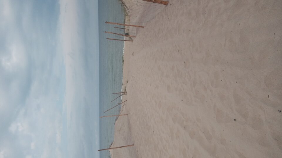 20240818_093217.jpg - Mrowka72