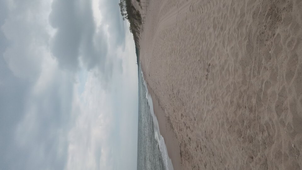 20240818_093308.jpg - Mrowka72