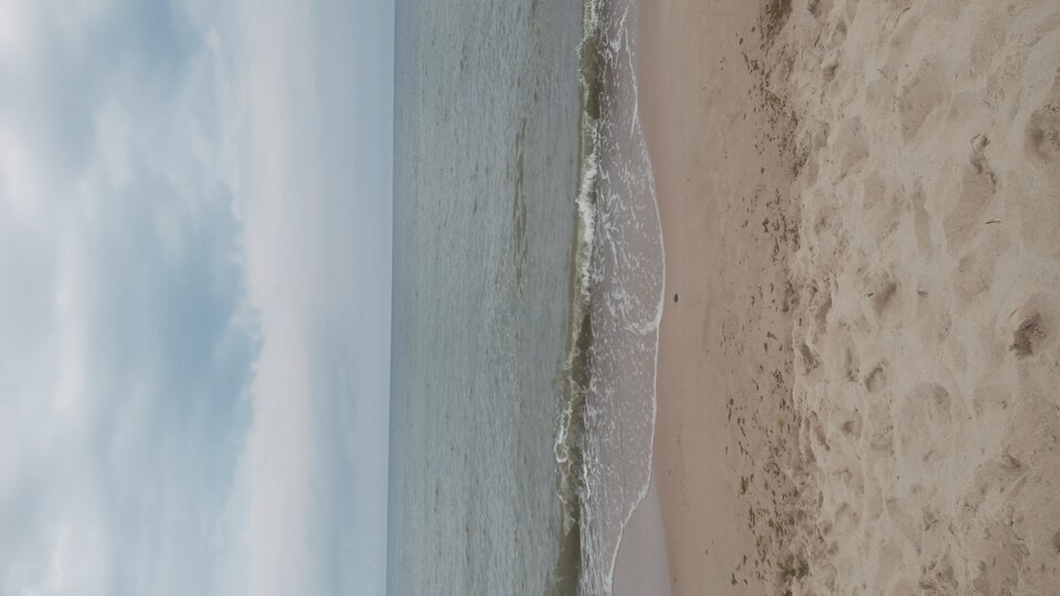 20240818_093306.jpg - Mrowka72