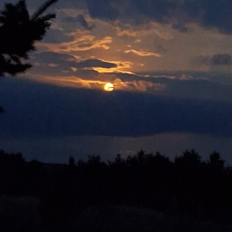 1000010391.jpg - On_spontanicznie55