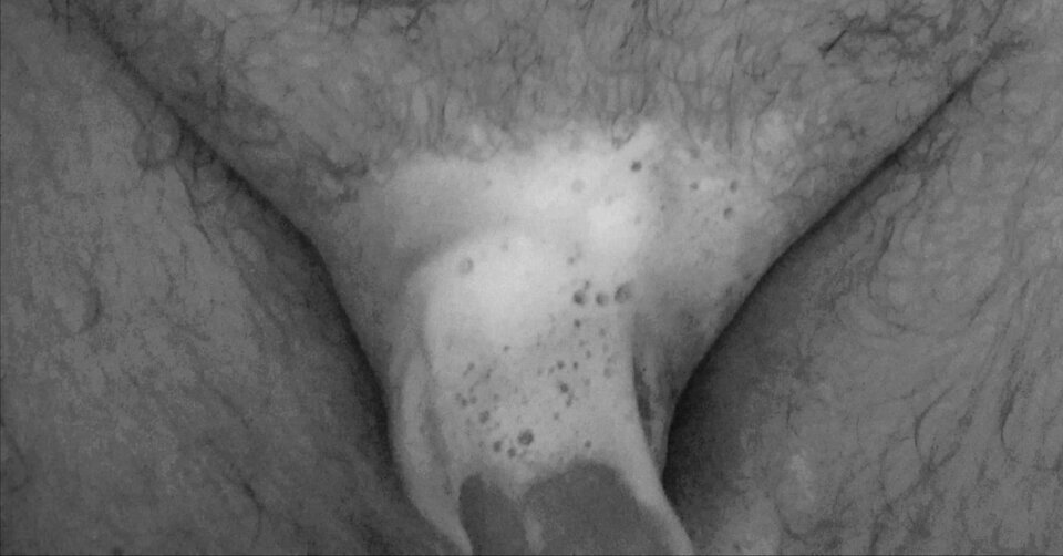 IMG_20240819_104656.jpg - NarcyzZgor