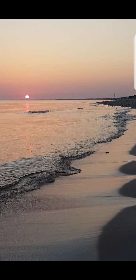 Screenshot_20240819-130736_Video Player.jpg - harryraider