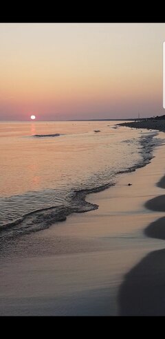 Screenshot_20240819-130736_Video Player.jpg