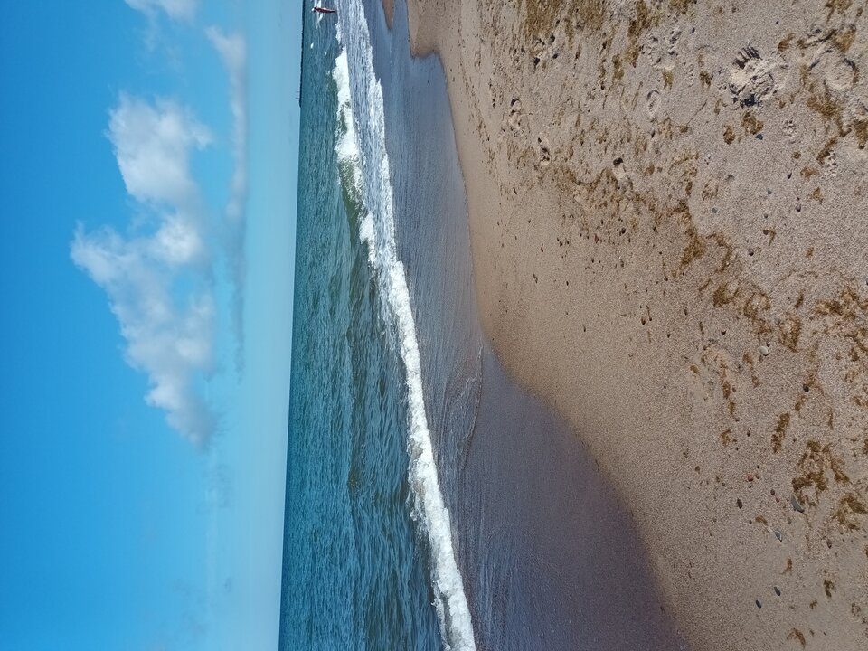 20240731_094539.jpg - Tam1