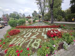 IMG_20240818_140353571.jpg