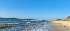 IMG_20240819_182103.jpg