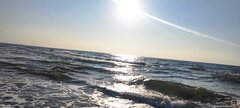 IMG_20240819_182055.jpg