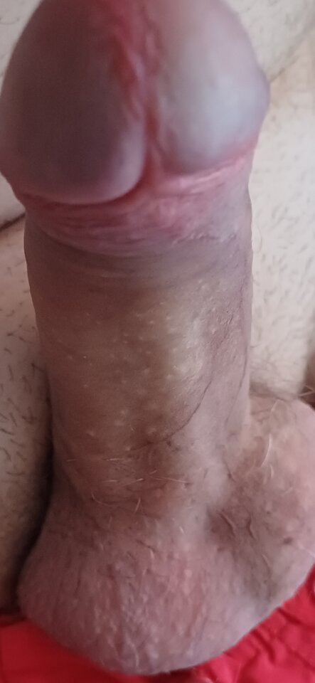 1000011151.jpg - Pento1231
