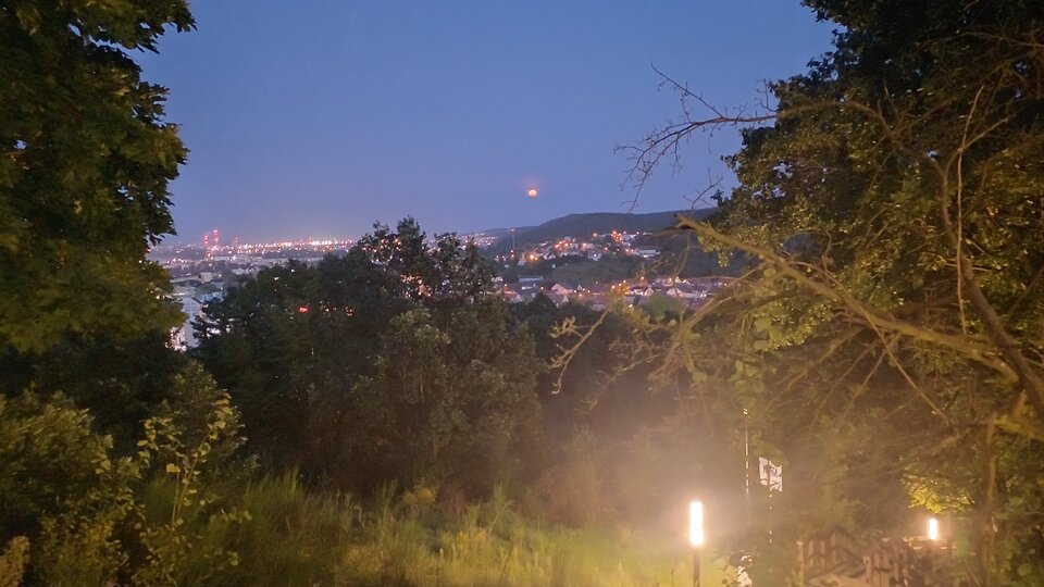 1000001270.jpg - Reksiki