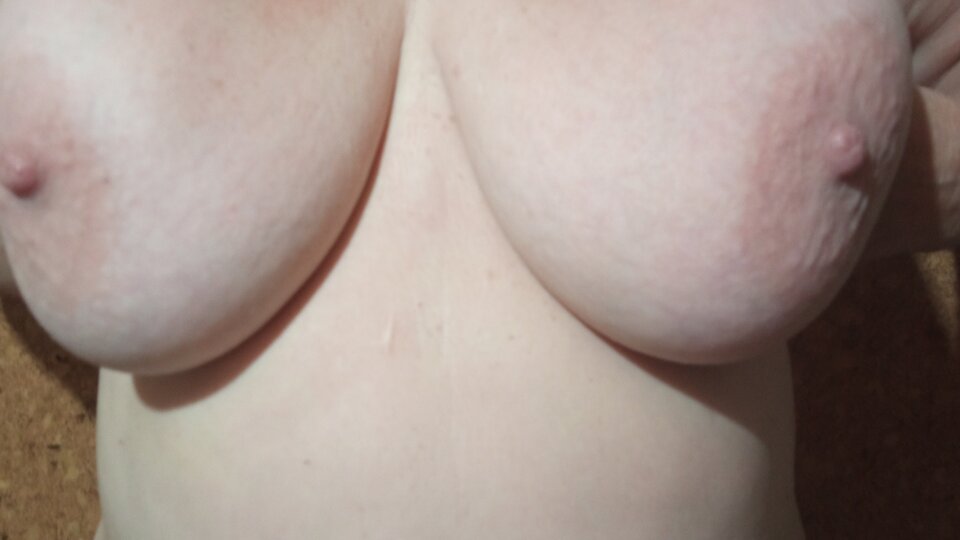 IMG_20240820_054743.jpg - olla55