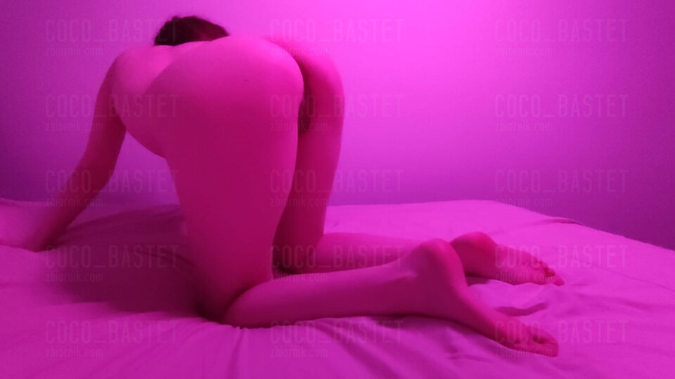 Róż 👻 - Coco_Bastet