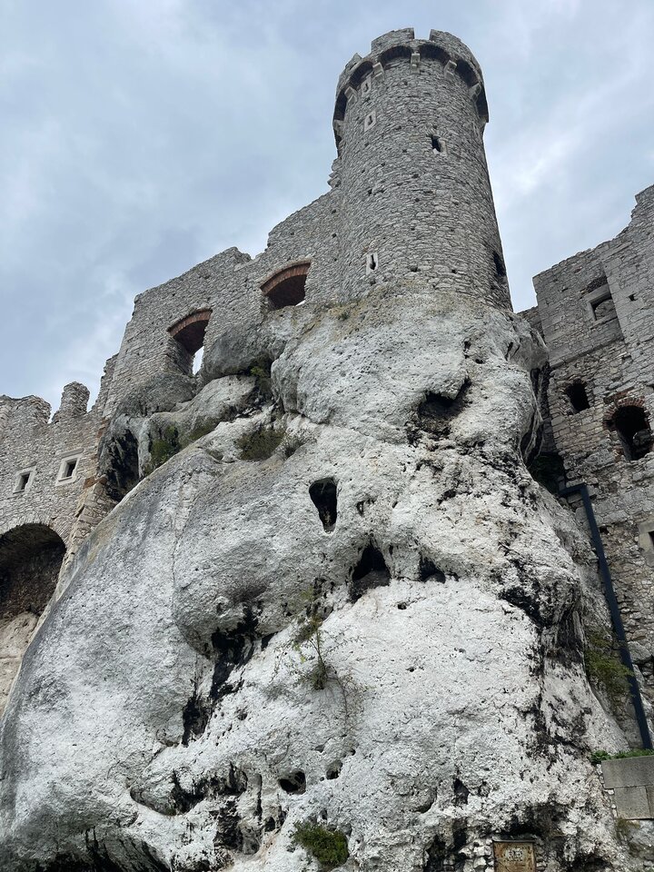 IMG-20240817-WA0001.jpg - Czarodzieje_alfa